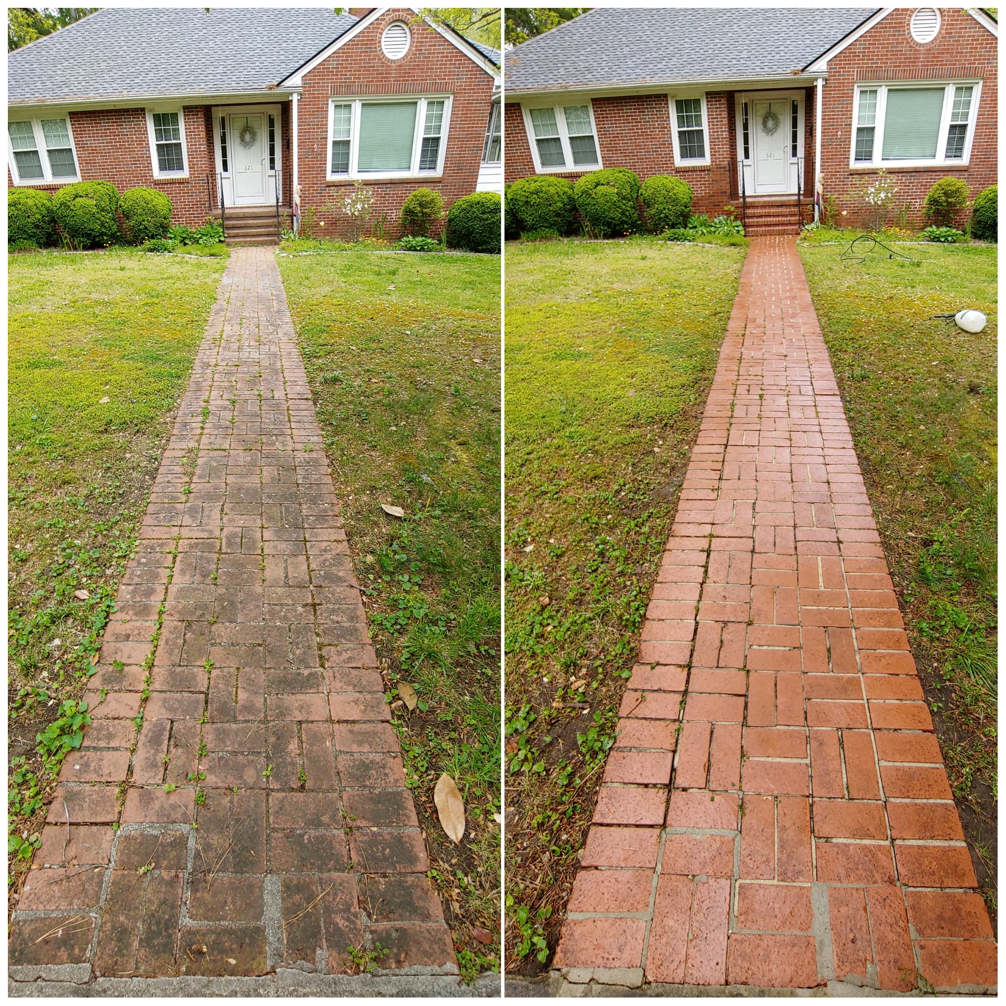 Sidewalk & Porch Clearing